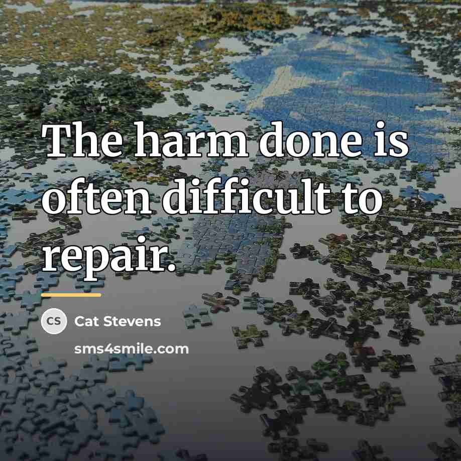 “The harm done is often difficult to repair.…” quote by Cat Stevens