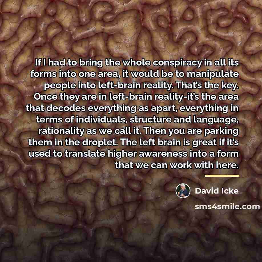 “If I had to bring the whole conspiracy in all…” quote by David Icke