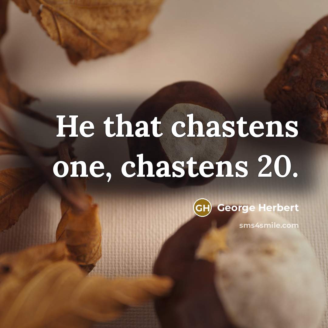 “He that chastens one, chastens 20.” quote by George Herbert