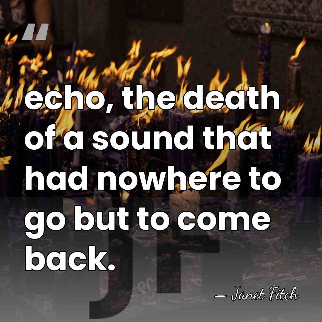 echo, the death of a sound that had nowhere to go but&hellip; - Janet Fitch