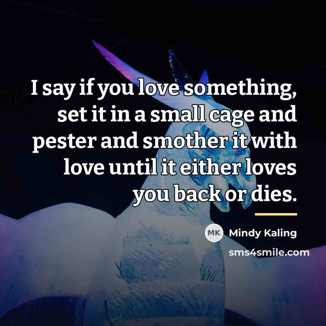 “I say if you love something, set it in a…” quote by Mindy Kaling