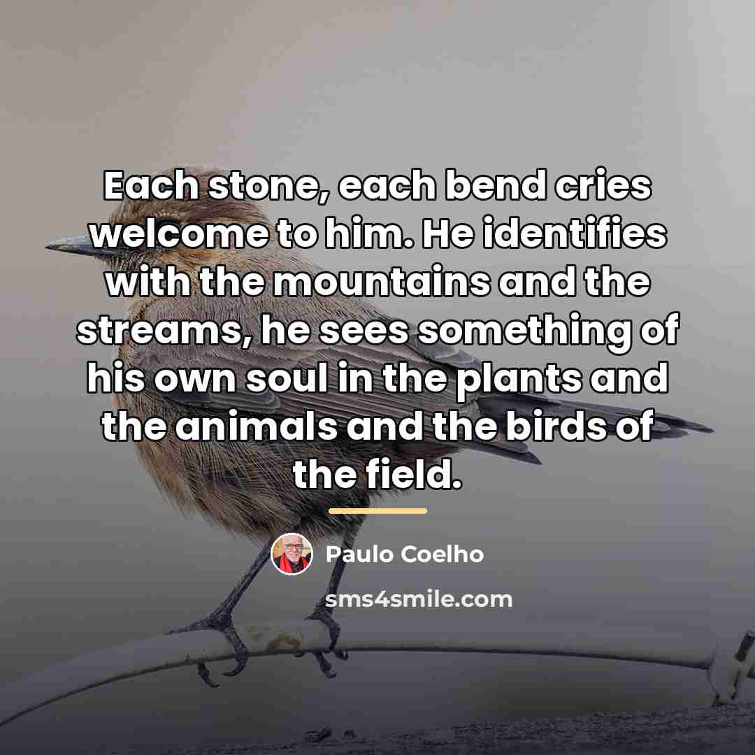 “Each stone, each bend cries welcome to him. He identifies…” quote by Paulo Coelho