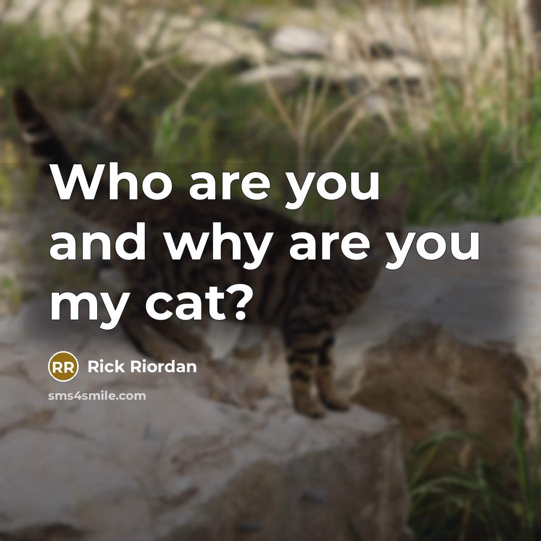 “Who are you and why are you my cat?…” quote by Rick Riordan