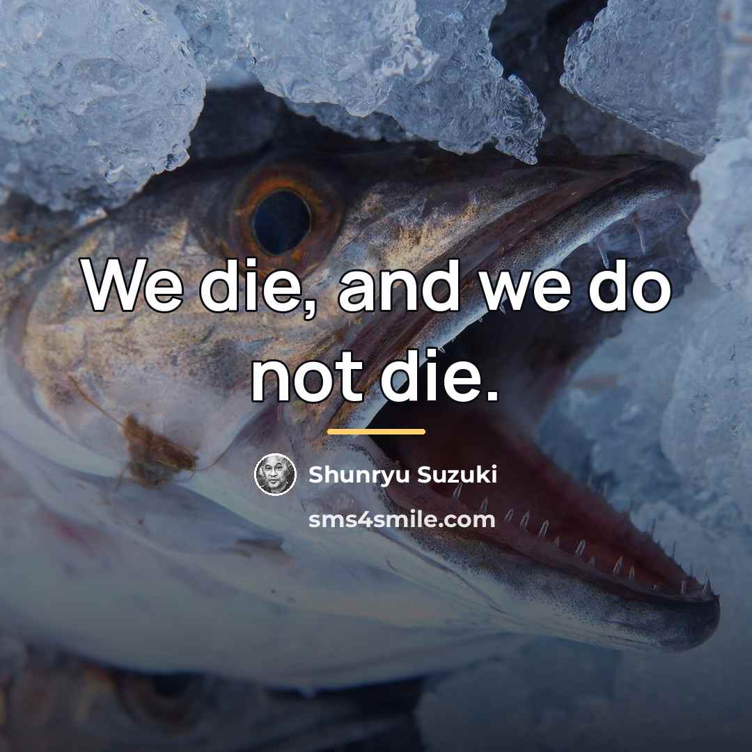 “We die, and we do not die.…” quote by Shunryu Suzuki