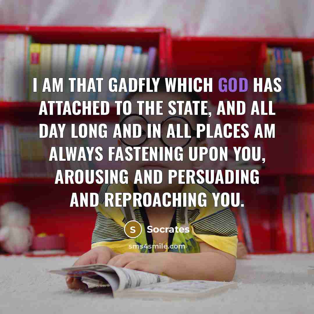 “I am that gadfly which God has attached to the state, and all day long and in all places am always fastening upon you, arousing and persuading and reproaching you.” quote by Socrates