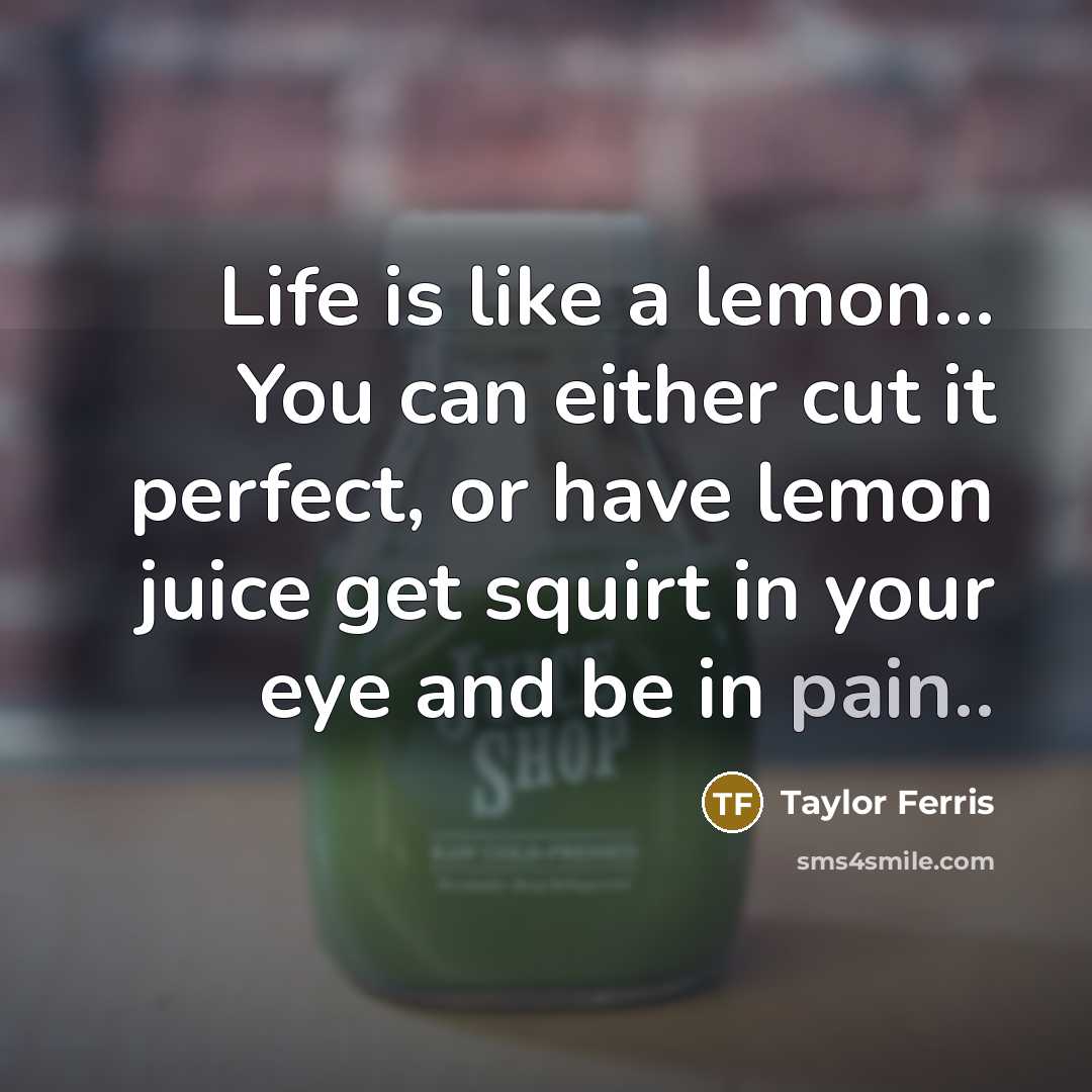 “Life is like a lemon... You can either cut it perfect, or have lemon juice get squirt in your eye and be in pain..” quote by Taylor Ferris