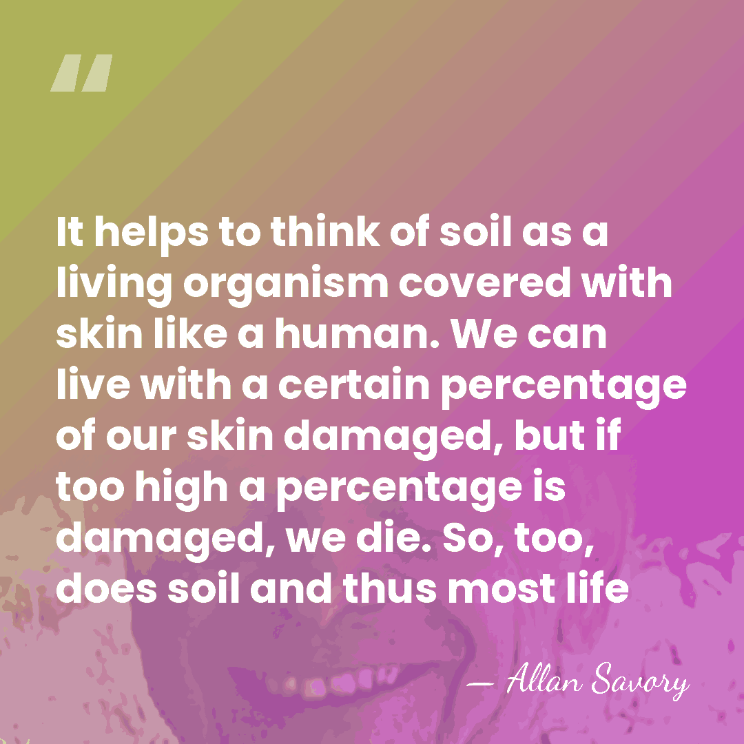 It helps to think of soil as a living organism covered with&hellip; - Allan Savory