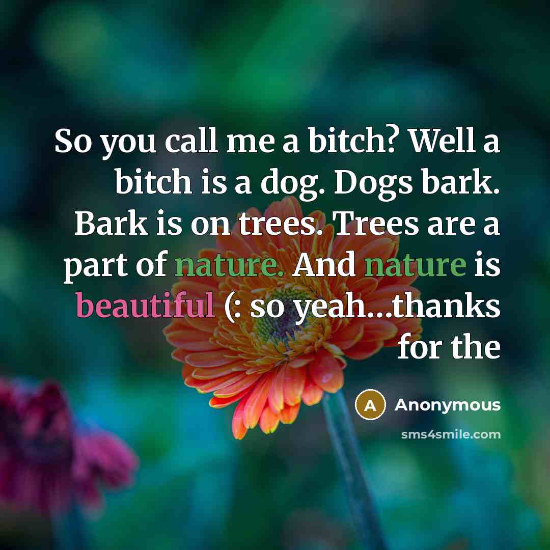 “So you call me a bitch? Well a bitch is a dog. Dogs bark. Bark is on trees. Trees are a part of nature. And nature is beautiful (: so yeah…thanks for the” quote by Anonymous