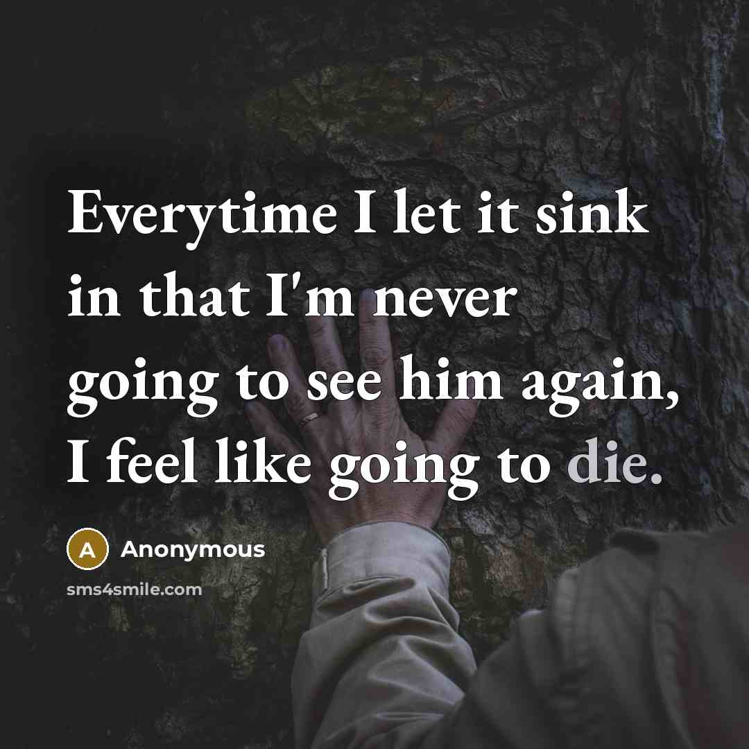 “Everytime I let it sink in that I'm never going to see him again, I feel like going to die.” quote by Anonymous