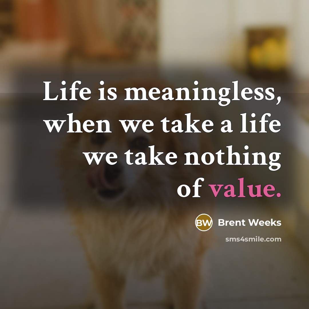 “Life is meaningless, when we take a life we take…” quote by Brent Weeks