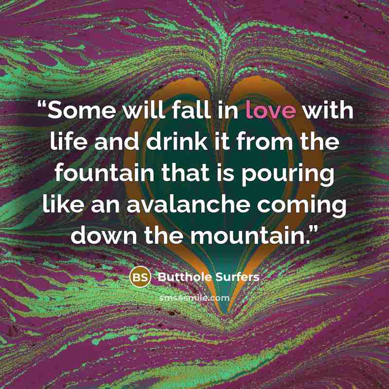 “Some will fall in love with life and drink it from the fountain that is pouring like an avalanche coming down the mountain.” quote by Butthole Surfers