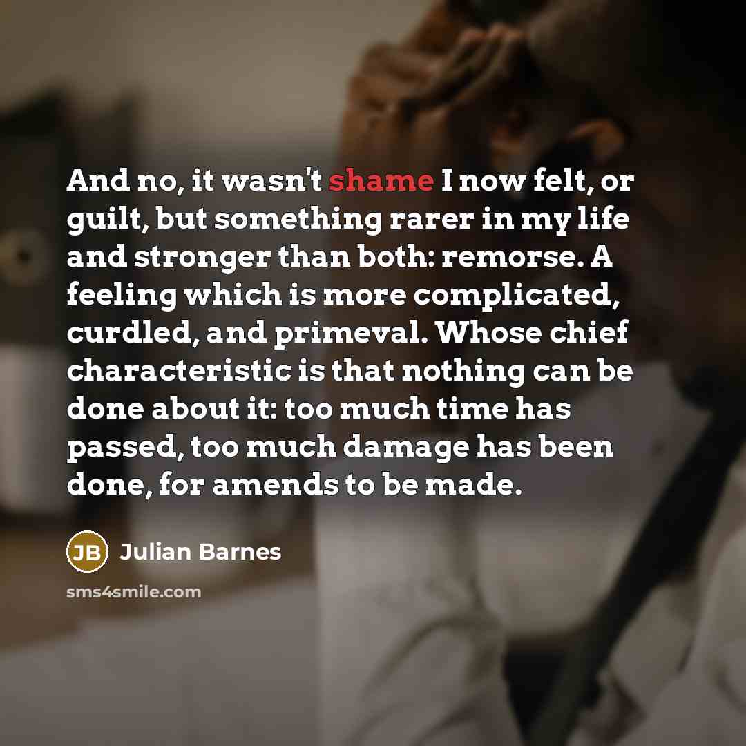 “And no, it wasn't shame I now felt, or guilt,…” quote by Julian Barnes