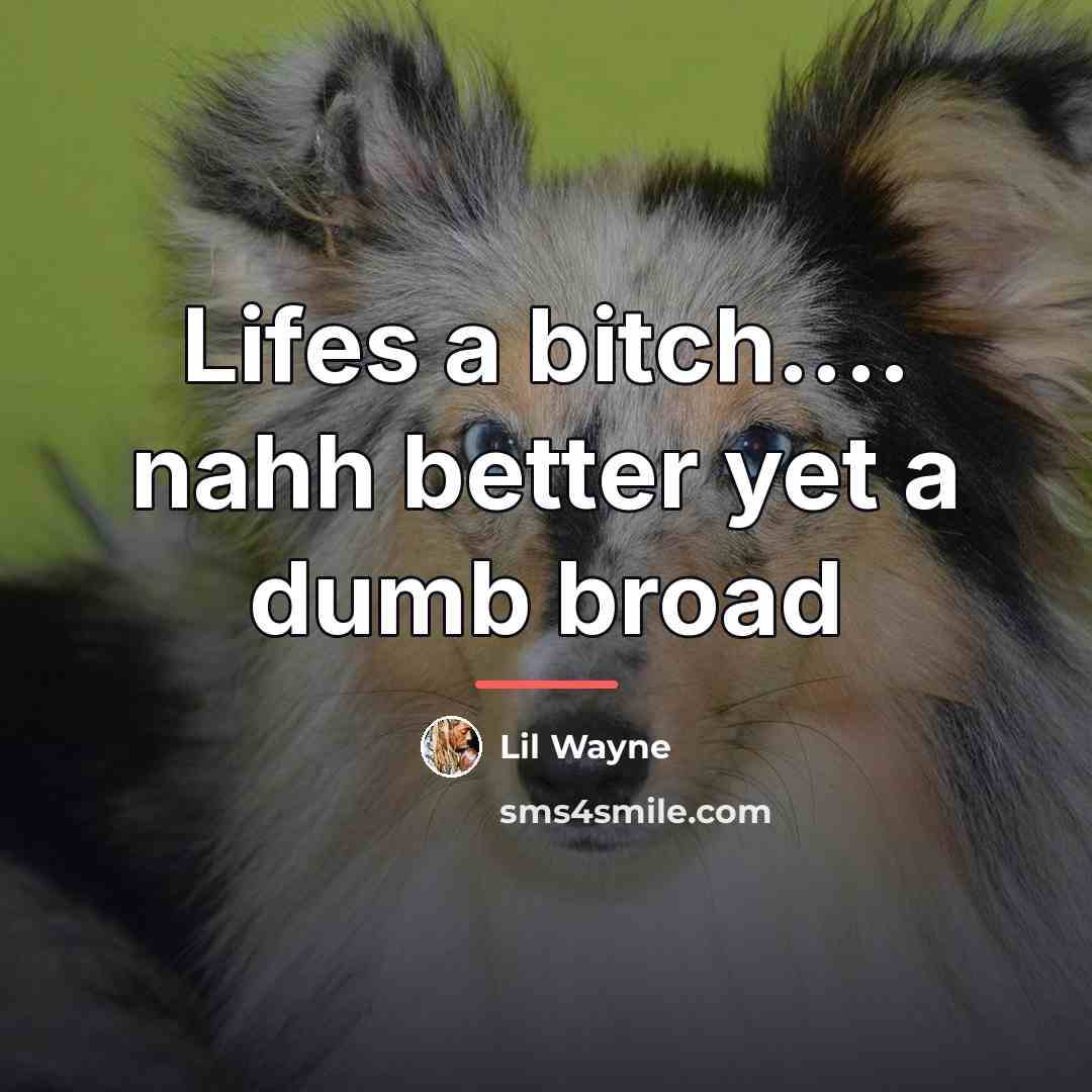 “Lifes a bitch.... nahh better yet a dumb broad…” quote by Lil Wayne
