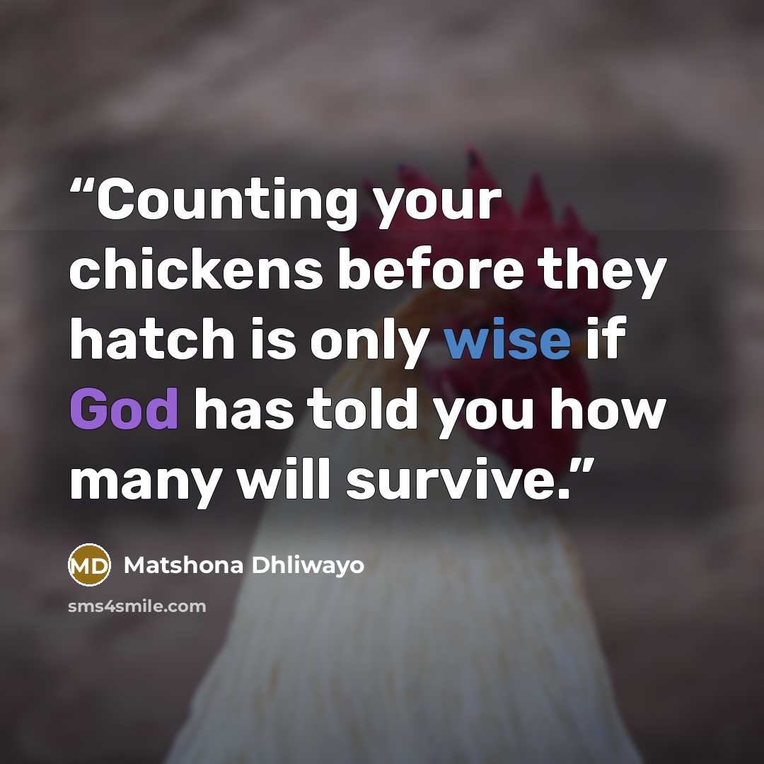 “Counting your chickens before they hatch is only wise if God has told you how many will survive.” quote by Matshona Dhliwayo