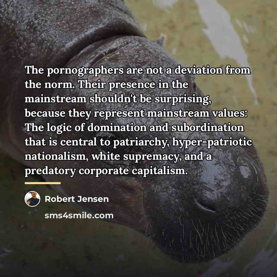 “The pornographers are not a deviation from the norm. Their…” quote by Robert Jensen