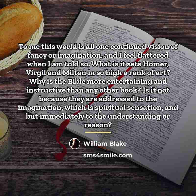 “To me this world is all one continued vision of…” quote by William Blake