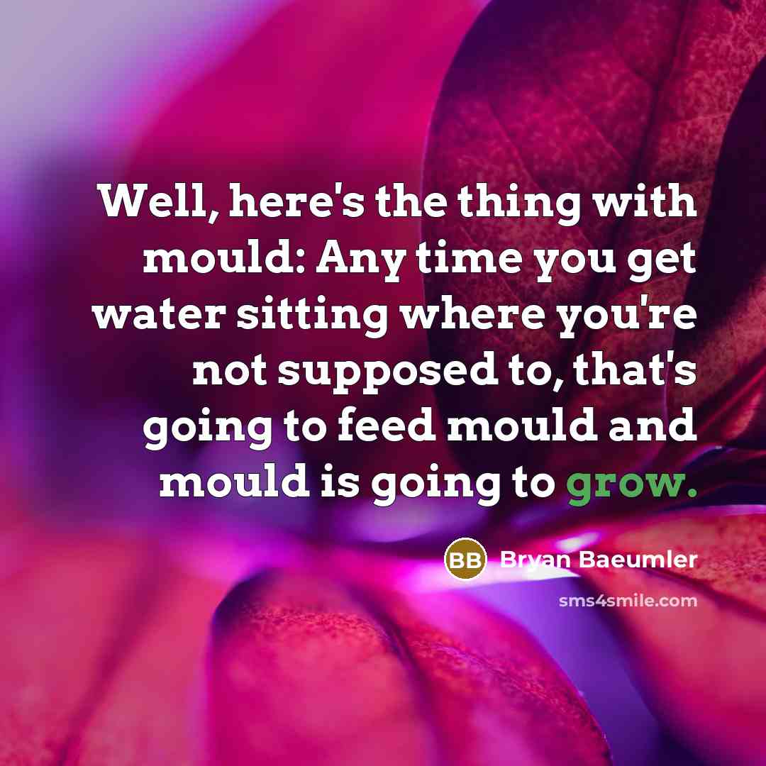 “Well, here's the thing with mould: Any time you get…” quote by Bryan Baeumler
