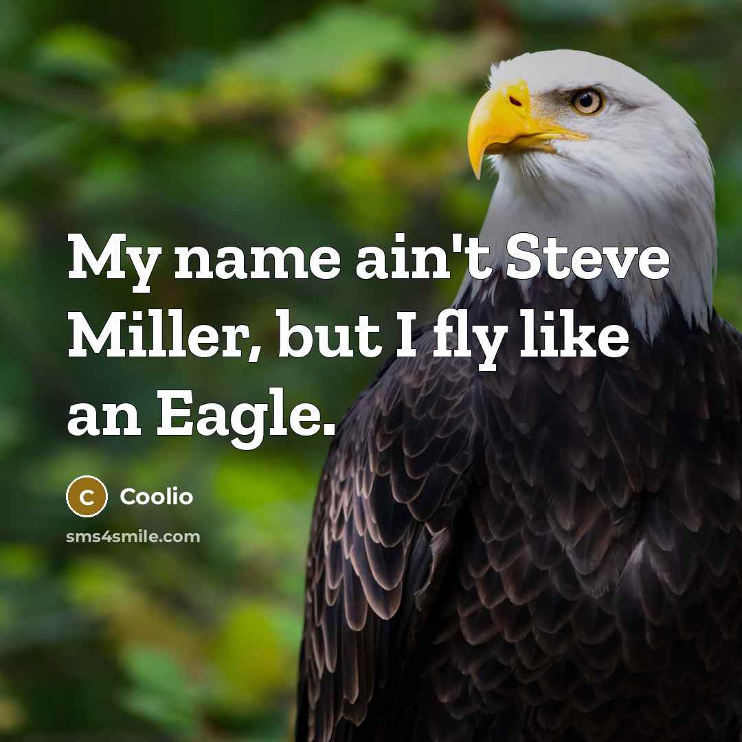 “My name ain't Steve Miller, but I fly like an…” quote by Coolio
