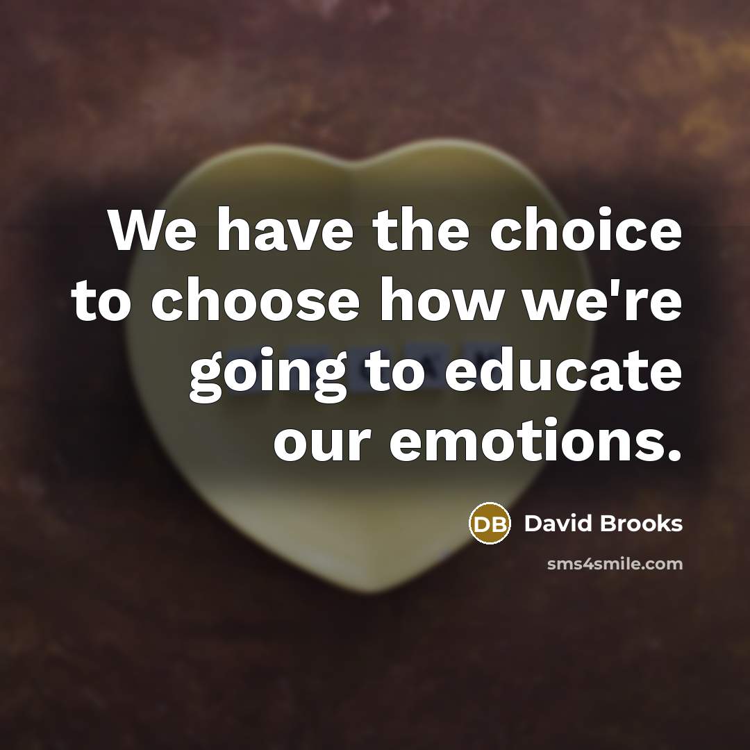 “We have the choice to choose how we're going to…” quote by David Brooks