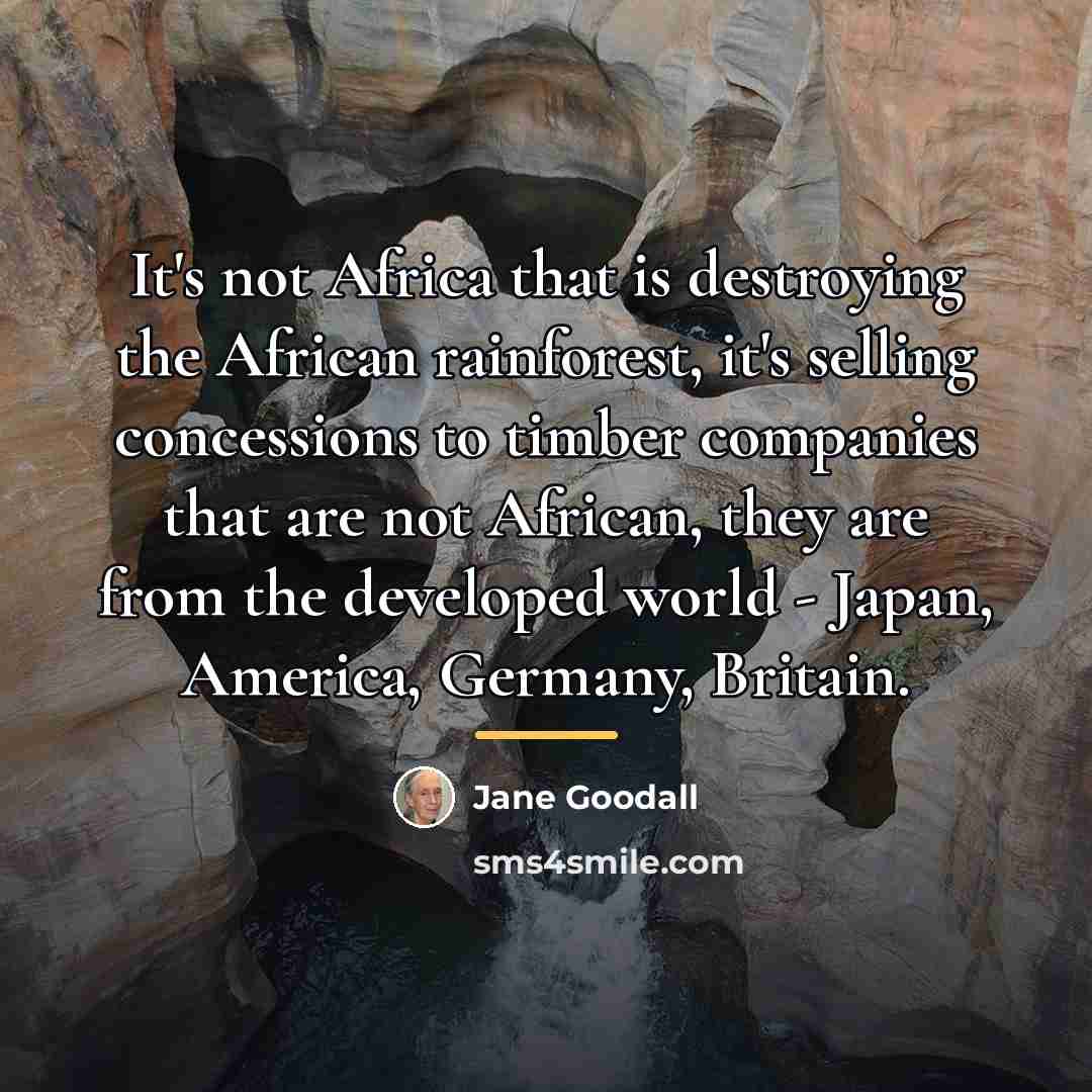 “It's not Africa that is destroying the African rainforest, it's…” quote by Jane Goodall
