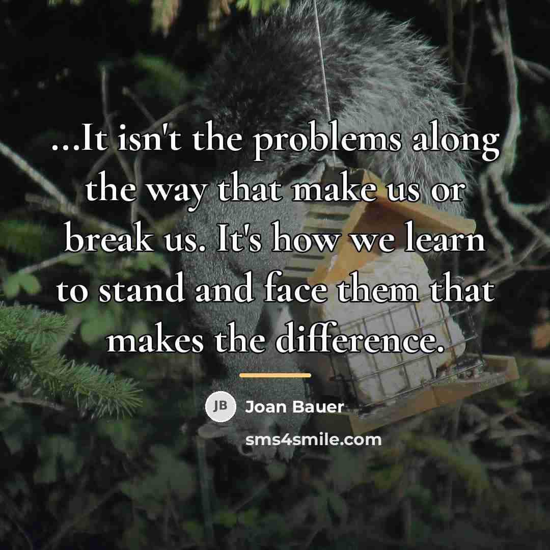 “...It isn't the problems along the way that make us…” quote by Joan Bauer