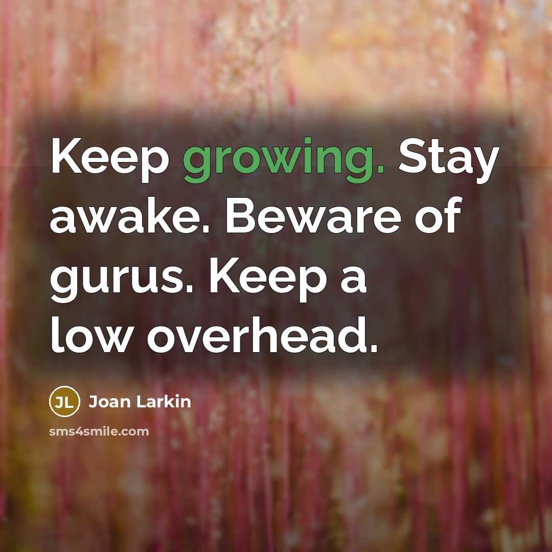 “Keep growing. Stay awake. Beware of gurus. Keep a low…” quote by Joan Larkin