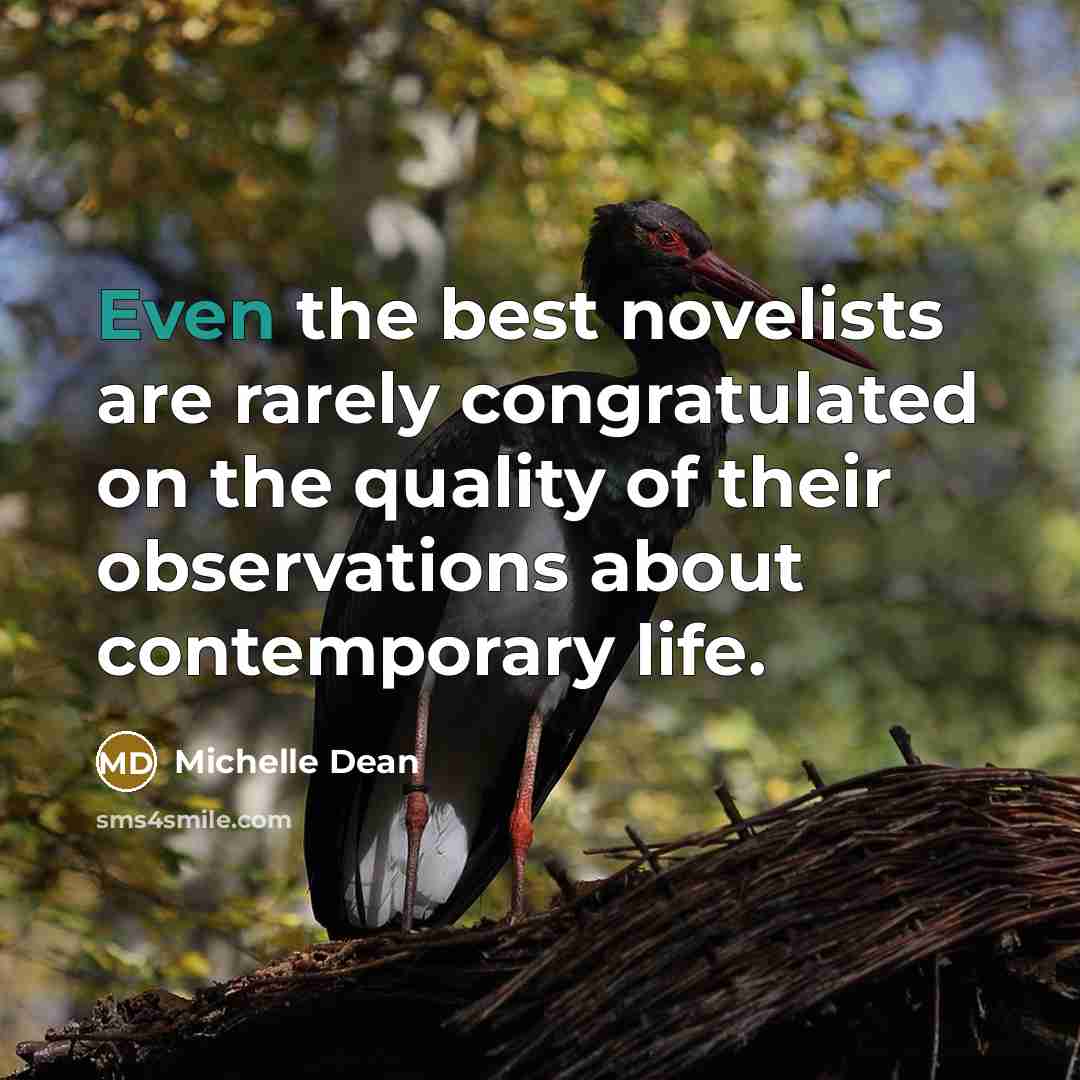 “Even the best novelists are rarely congratulated on the quality…” quote by Michelle Dean