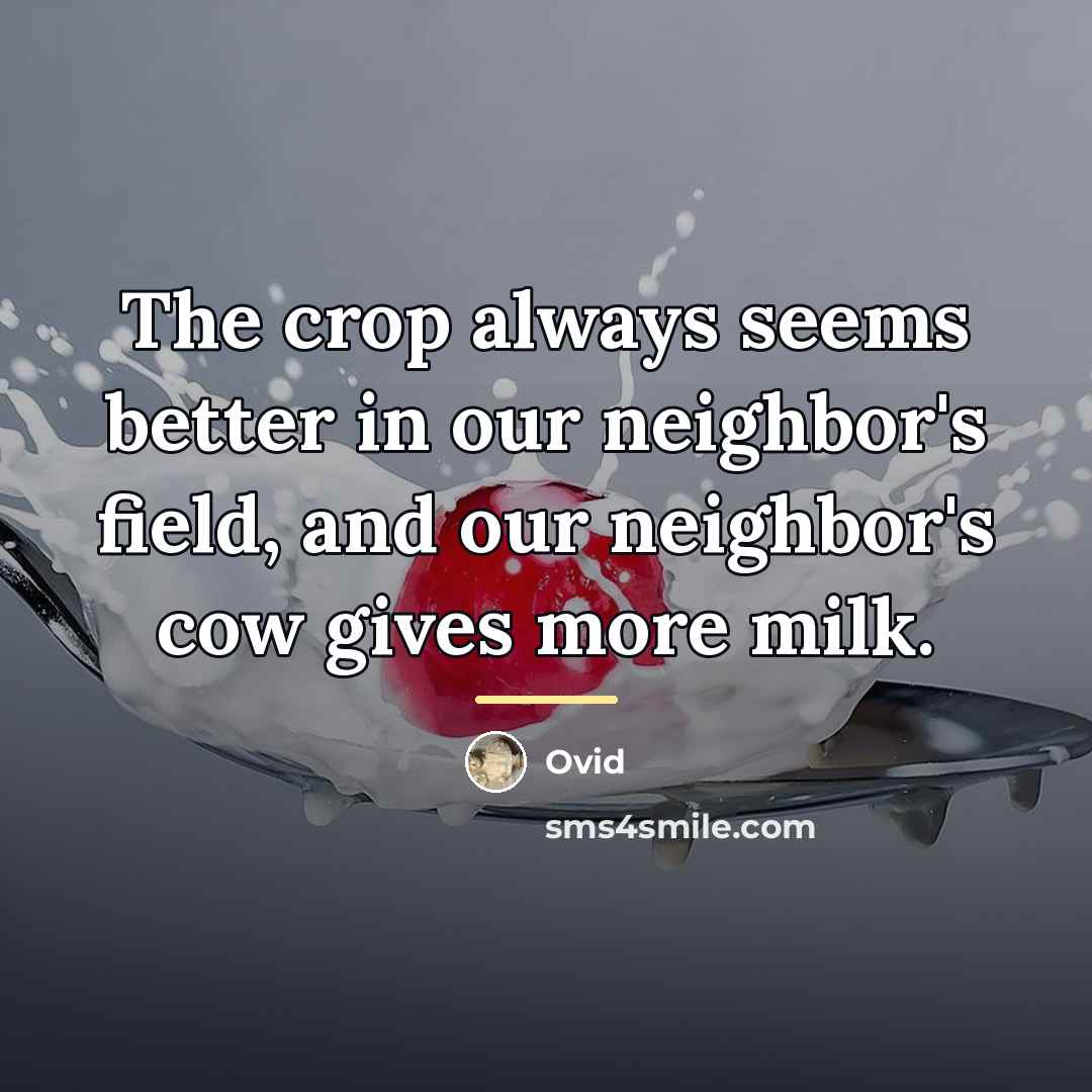 “The crop always seems better in our neighbor's field, and…” quote by Ovid