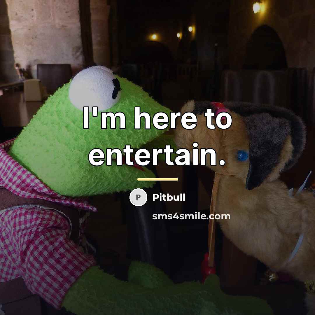 “I'm here to entertain.…” quote by Pitbull