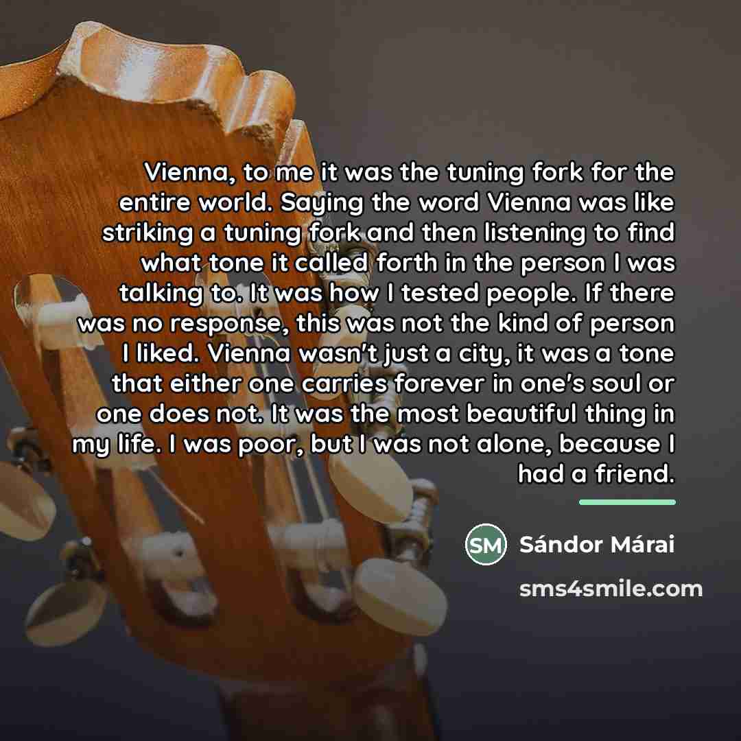 “Vienna, to me it was the tuning fork for the…” quote by Sándor Márai