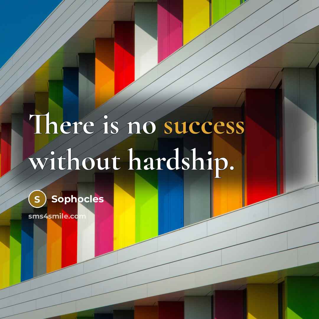 “There is no success without hardship.…” quote by Sophocles