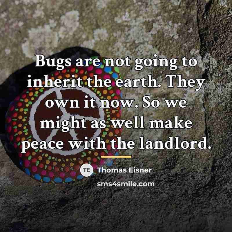 “Bugs are not going to inherit the earth. They own…” quote by Thomas Eisner