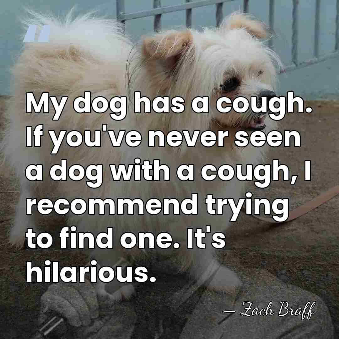 My dog has a cough. If you've never seen a dog with&hellip; - Zach Braff
