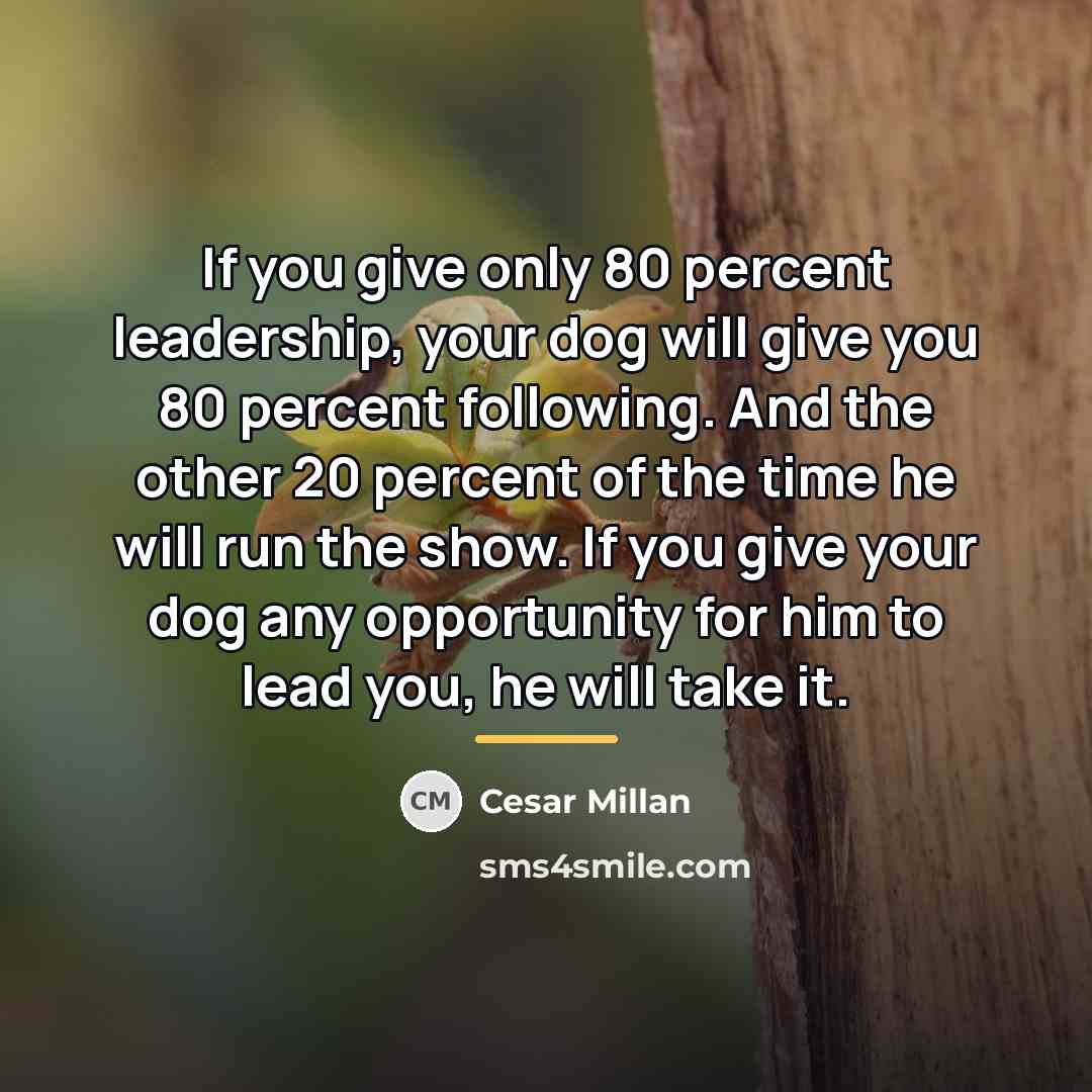 “If you give only 80 percent leadership, your dog will…” quote by Cesar Millan