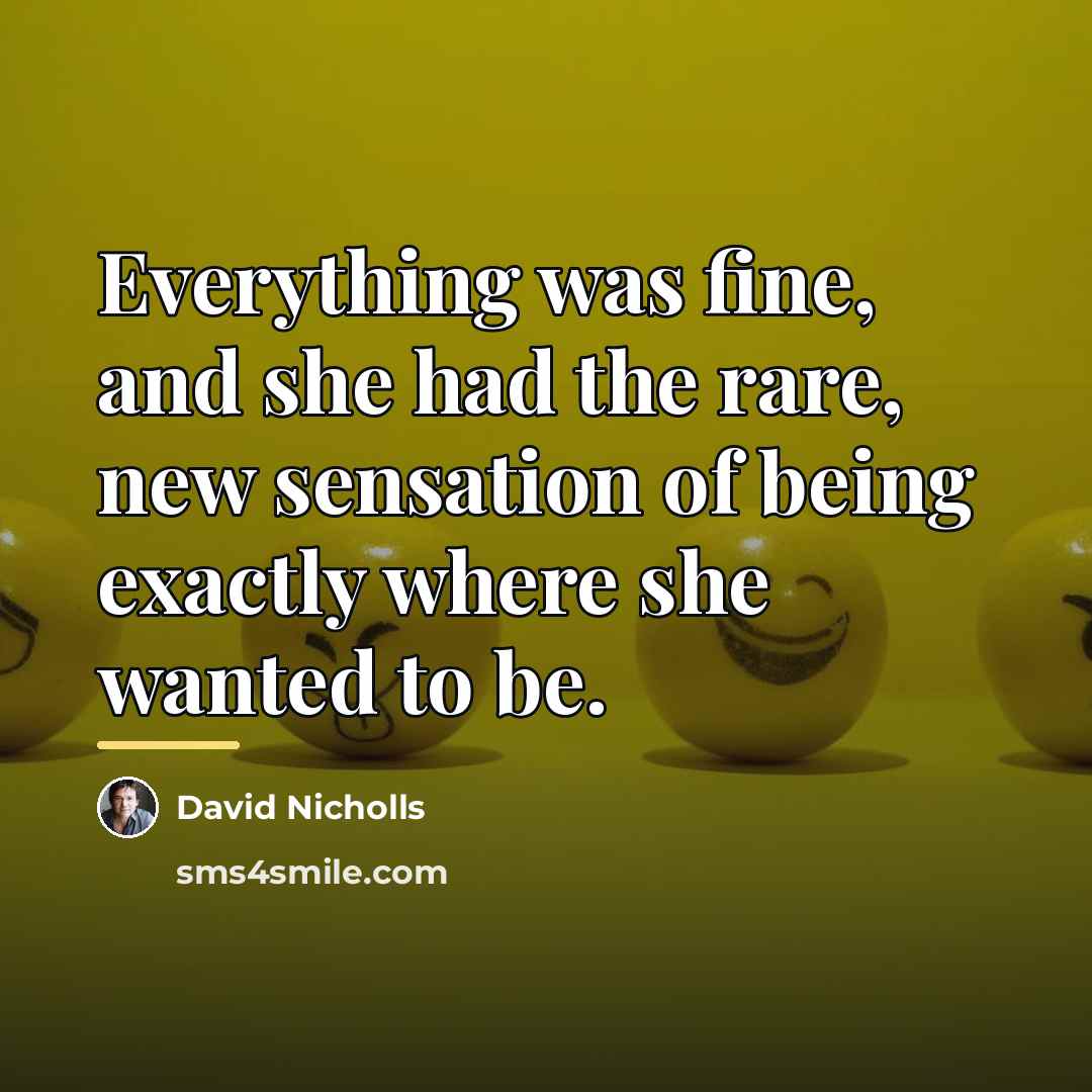 “Everything was fine, and she had the rare, new sensation…” quote by David Nicholls