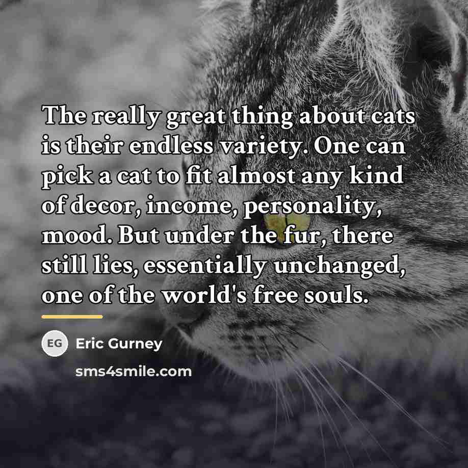 “The really great thing about cats is their endless variety.…” quote by Eric Gurney