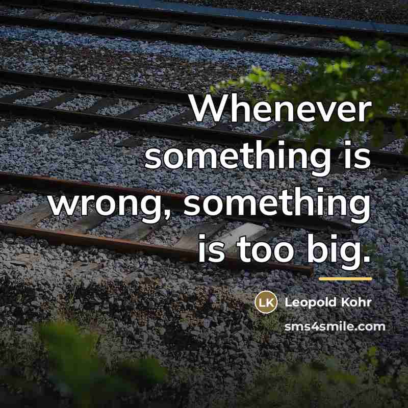 “Whenever something is wrong, something is too big.…” quote by Leopold Kohr