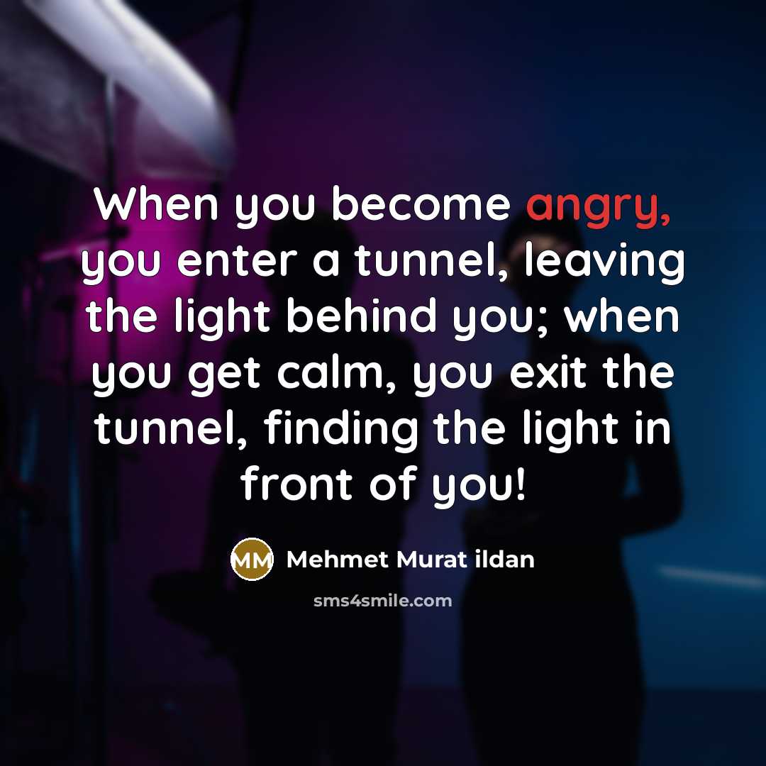 “When you become angry, you enter a tunnel, leaving the…” quote by Mehmet Murat Ildan