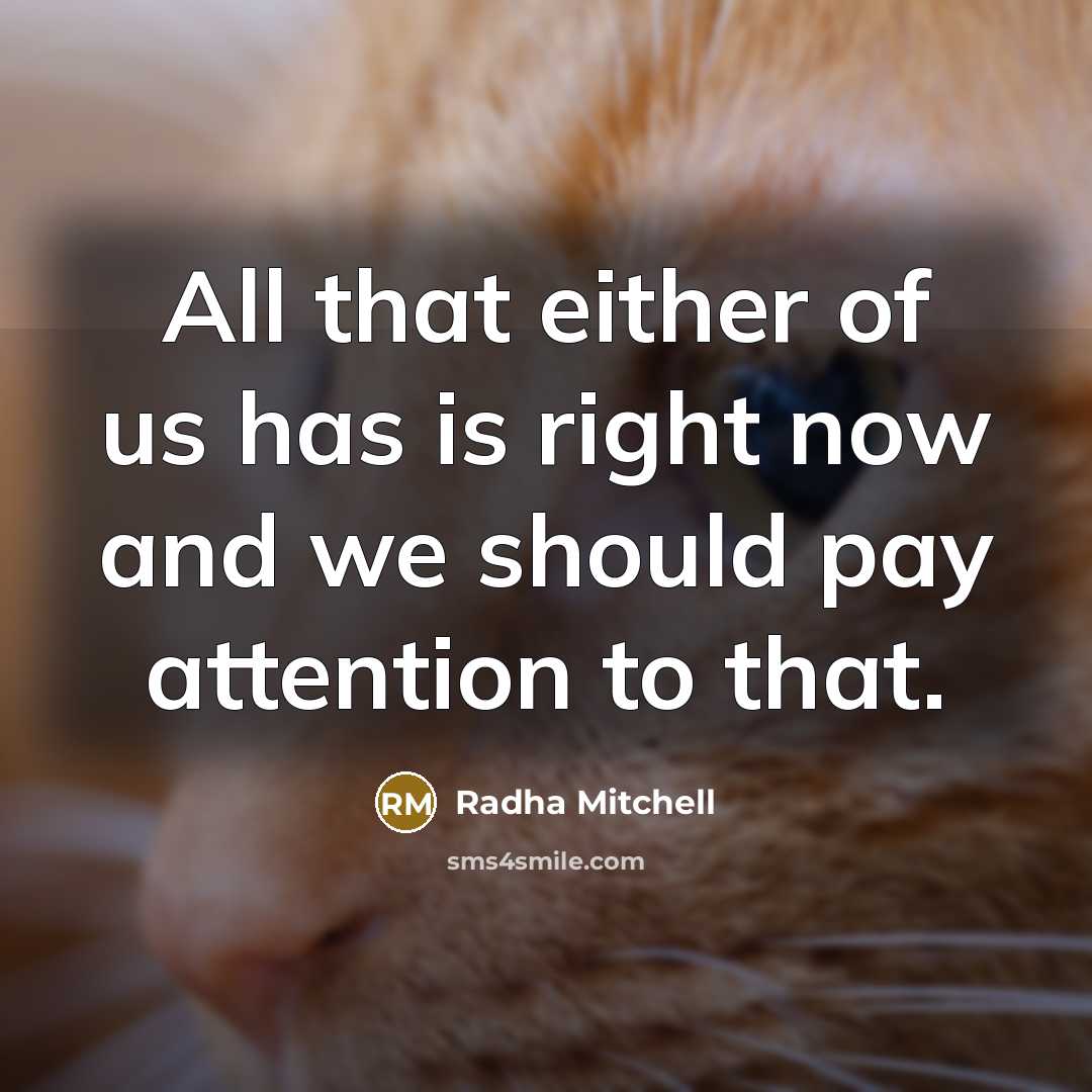 “All that either of us has is right now and…” quote by Radha Mitchell
