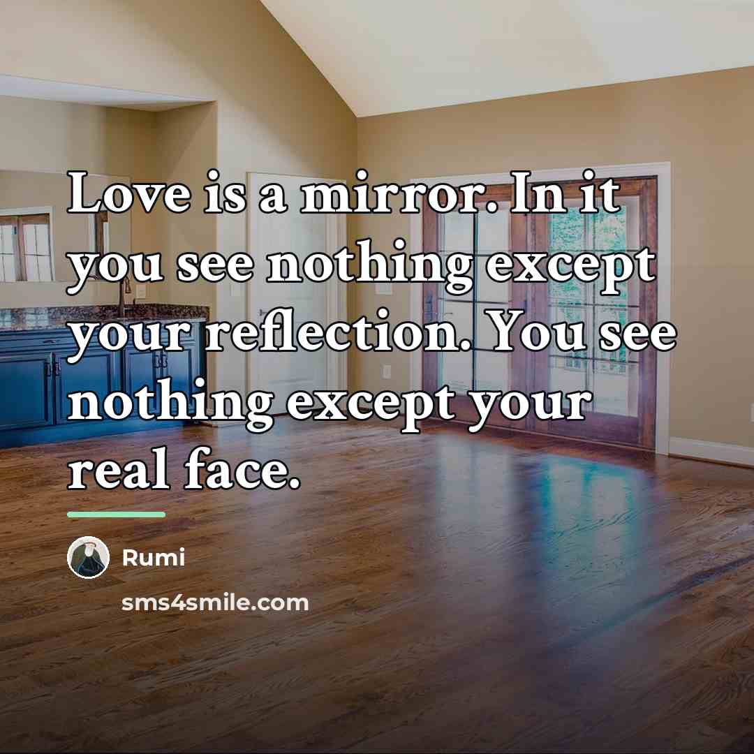 “Love is a mirror. In it you see nothing except…” quote by Rumi