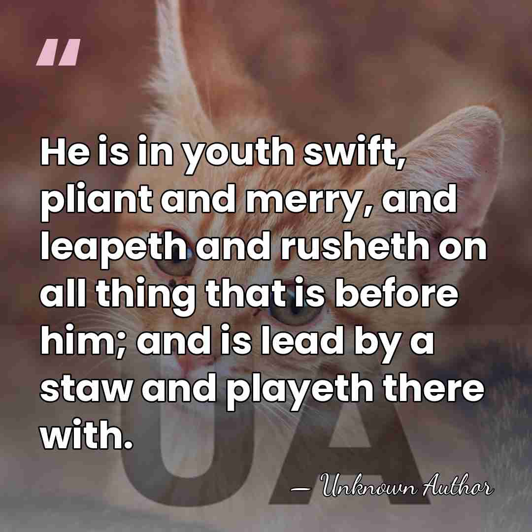 He is in youth swift, pliant and merry, and leapeth and rusheth&hellip; - Unknown Author