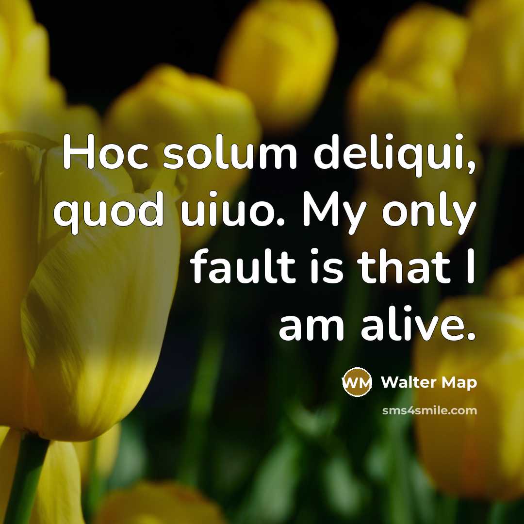“Hoc solum deliqui, quod uiuo. My only fault is that…” quote by Walter Map