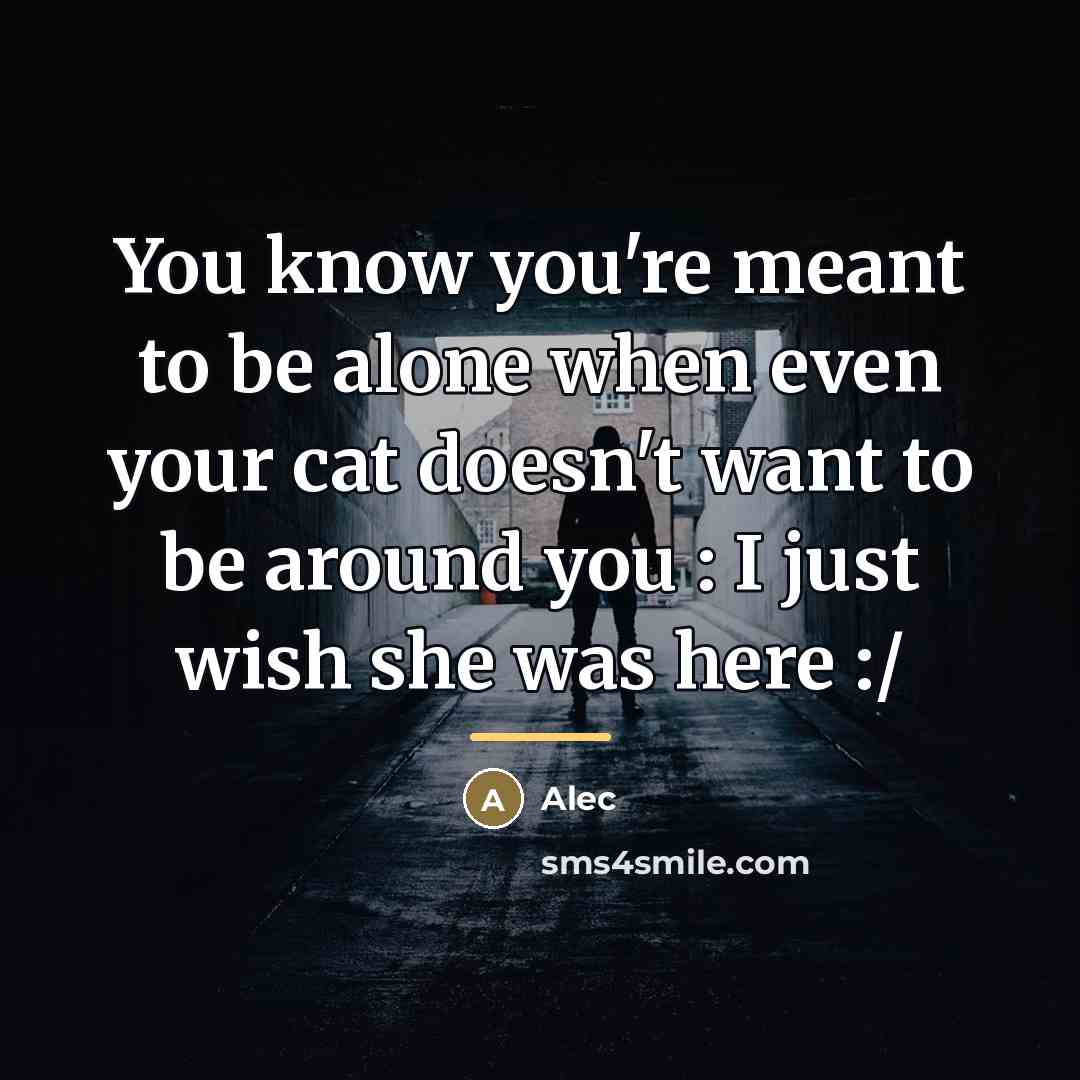 “You know you're meant to be alone when even your…” quote by Alec