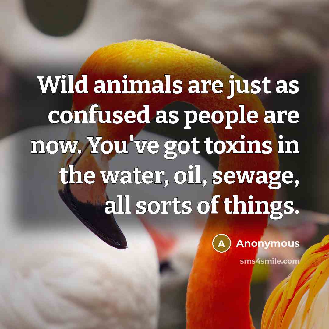 “Wild animals are just as confused as people are now.…” quote by Anonymous