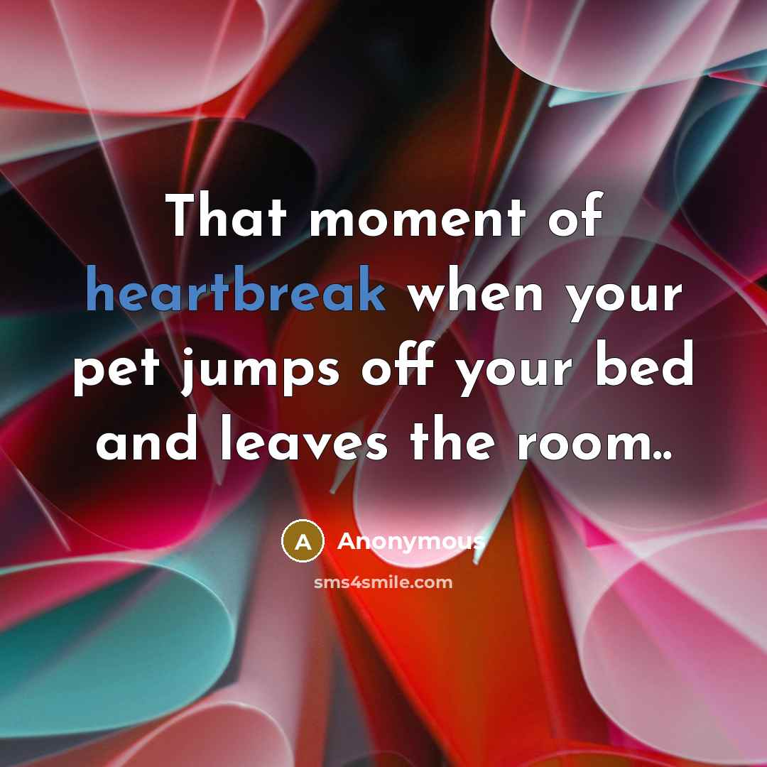 “That moment of heartbreak when your pet jumps off your…” quote by Anonymous