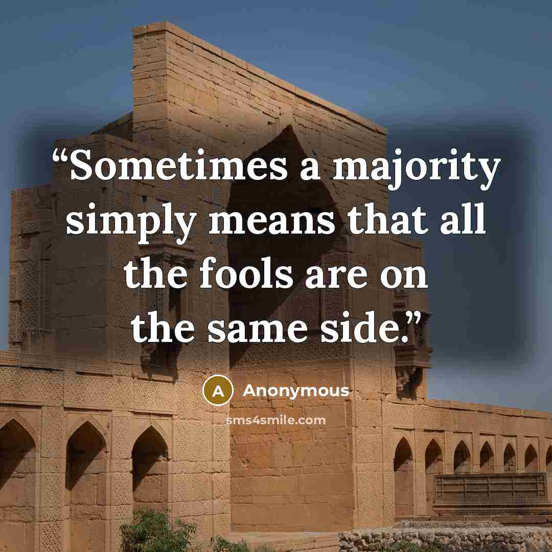 “Sometimes a majority simply means that all the fools are on the same side.” quote by Anonymous