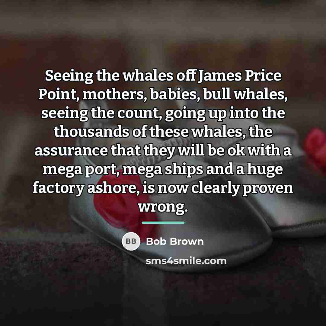 “Seeing the whales off James Price Point, mothers, babies, bull…” quote by Bob Brown