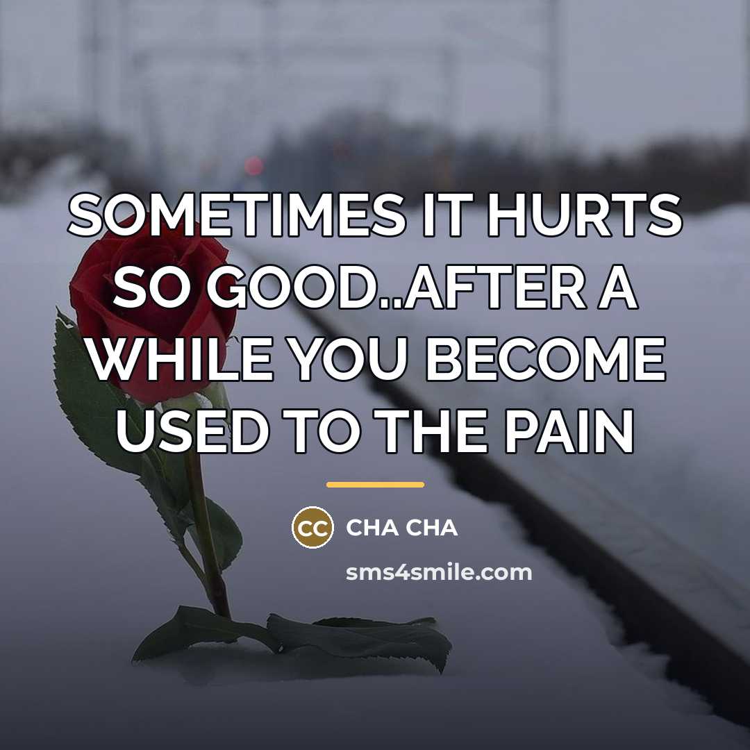 “SOMETIMES IT HURTS SO GOOD..AFTER A WHILE YOU BECOME USED…” quote by Cha Cha