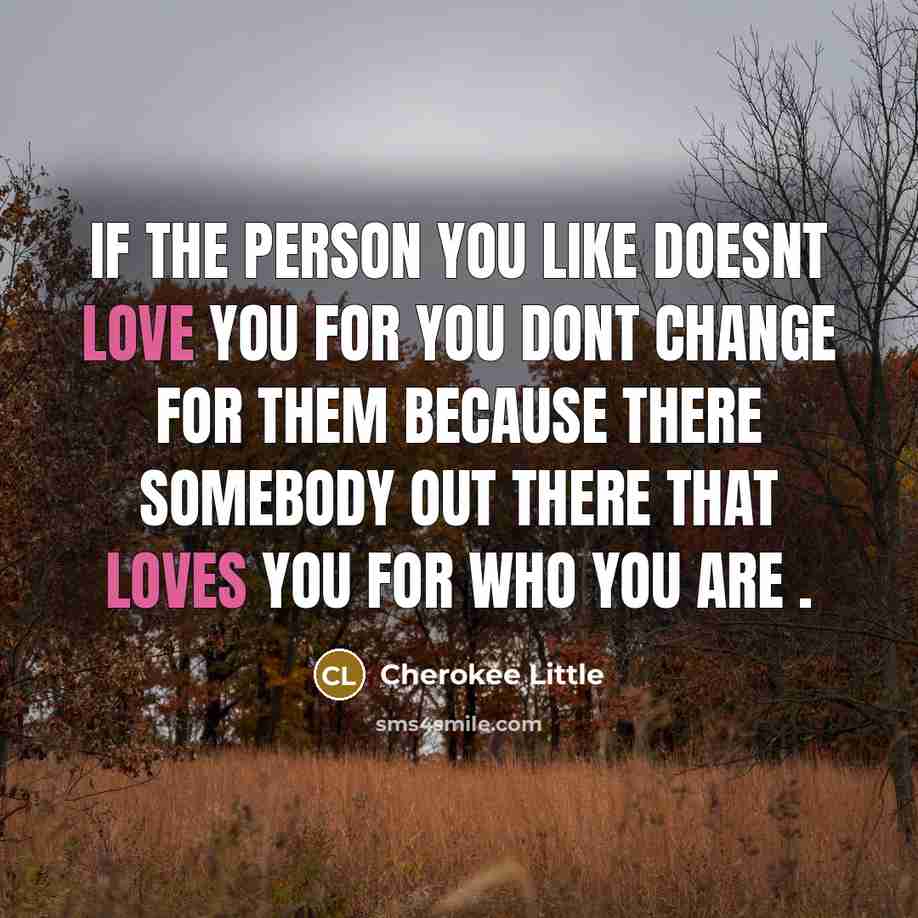 “If The Person You Like Doesnt Love You For You…” quote by Cherokee Little