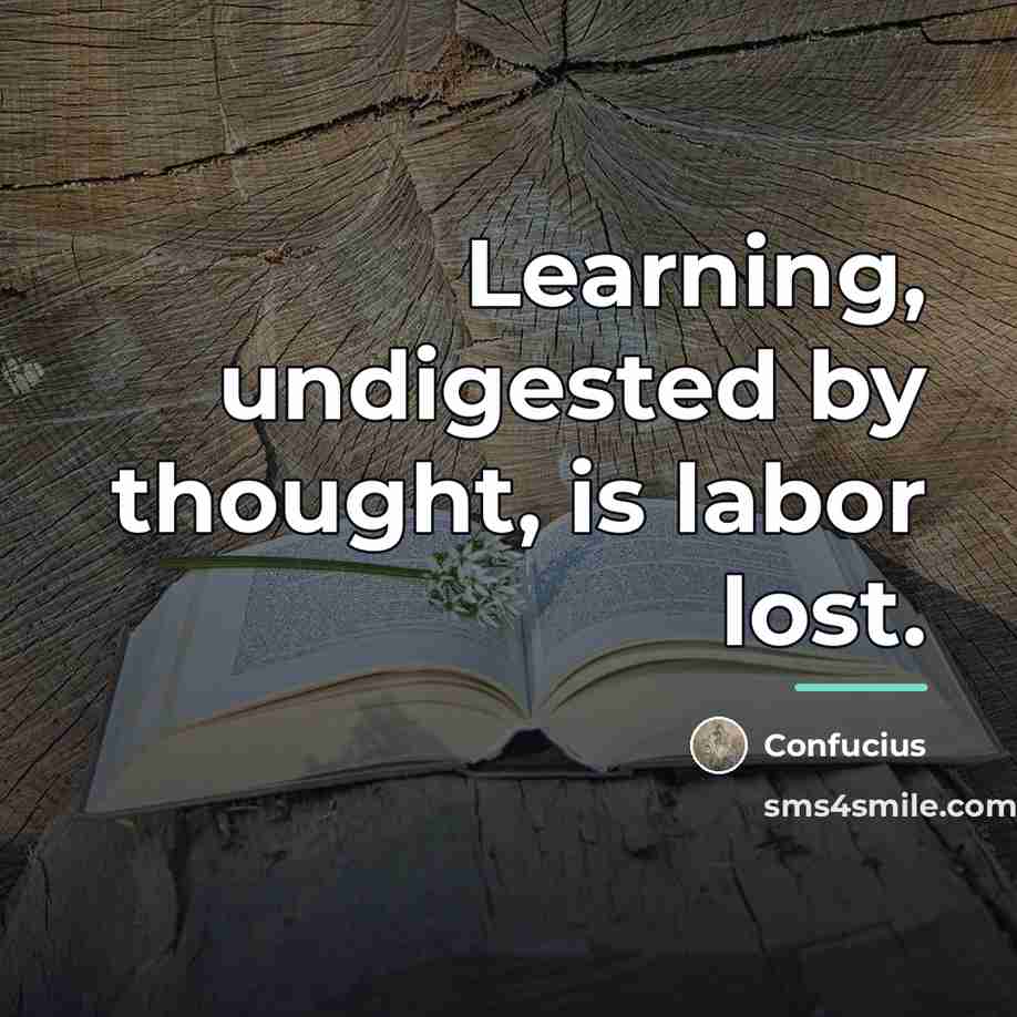 “Learning, undigested by thought, is labor lost.…” quote by Confucius